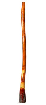 Ironbark Didgeridoo (IB224)